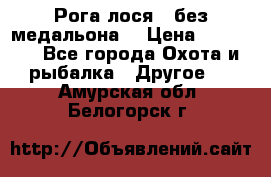 Рога лося , без медальона. › Цена ­ 15 000 - Все города Охота и рыбалка » Другое   . Амурская обл.,Белогорск г.